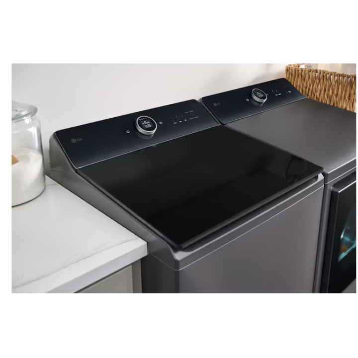 LG 7.3-cu ft Vented Electric Dryer with Steam Cycle ( Matte Black )